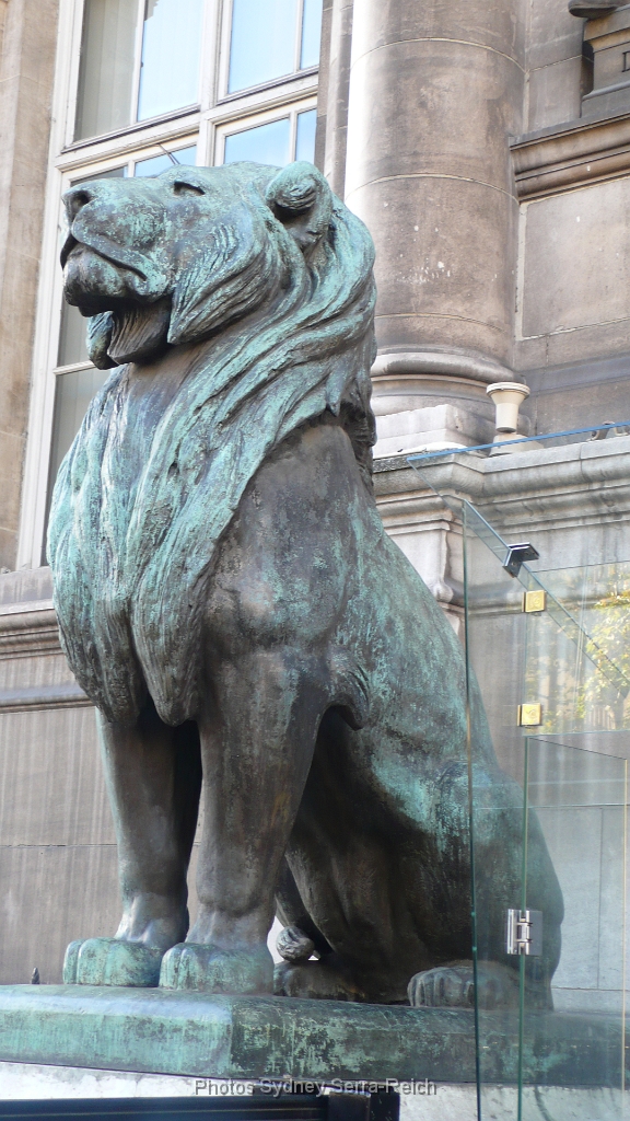 Lion de l Hotel de ville de Paris  cote rue Lobeau Par Auguste Cain.JPG - Lion de l'Hôtel de ville de Paris, côté rue Lobeau. Par Auguste Cain. Le 10 novembre 2013